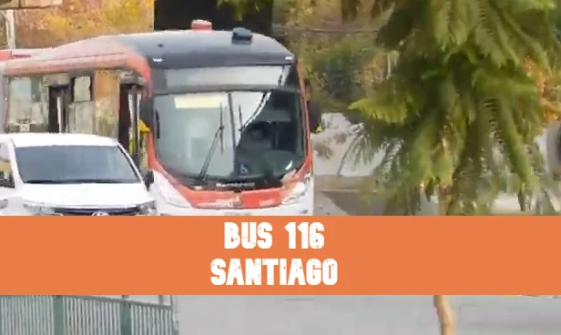 Micro Línea 116 Santiago: Recorridos, mapa y horarios