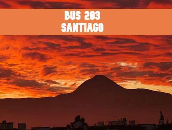 Micro Línea 203 Santiago: Recorridos, mapa y horarios