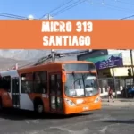 Micro 313 Santiago
